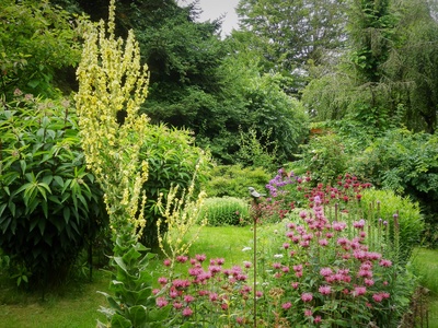 Kostenloses Foto Bienenfreundlicher Garten pixelio.de